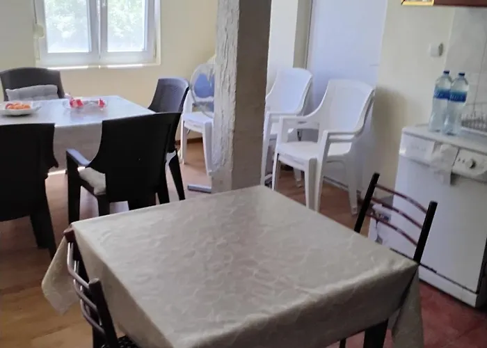Radovici Family House